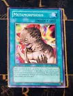 Metamorphosis