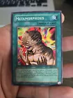 Metamorphosis