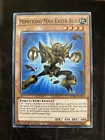 Mimicking Man-Eater Bug