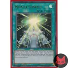 Miracle Contact