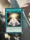 Miracle Contact