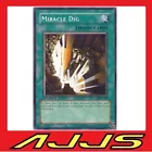 Miracle Dig