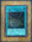 Miraculous Rebirth