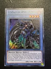 Paladin of Dark Dragon