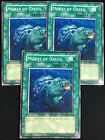 Moray of Greed