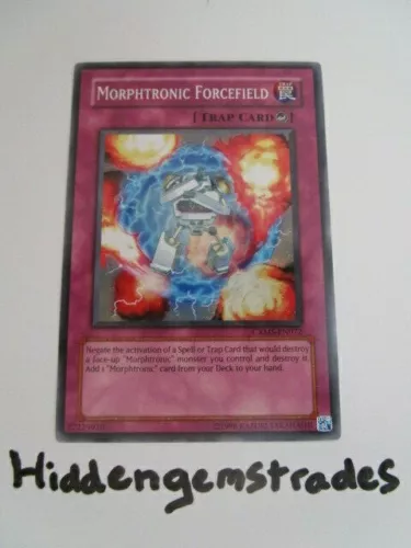 Morphtronic Forcefield