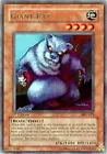 Giant Rat