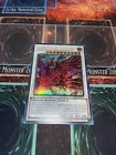 Ruddy Rose Dragon