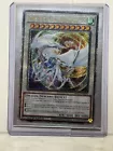 Cosmic Blazar Dragon
