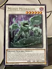 Muddy Mudragon