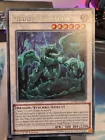 Muddy Mudragon