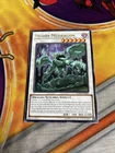 Muddy Mudragon