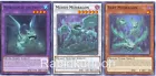 Baby Mudragon