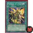 Big Shield Guardna