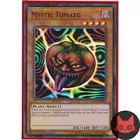 Mystic Tomato