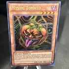 Mystic Tomato