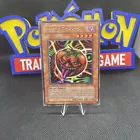 Mystic Tomato