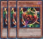 Mystic Tomato