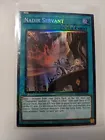 Nadir Servant