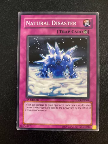 Natural Disaster