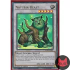 Naturia Beast