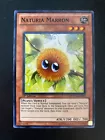 Naturia Marron