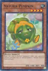 Naturia Pumpkin