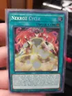 Nekroz Cycle