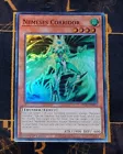 Nemeses Corridor