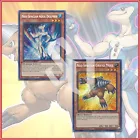 Neo-Spacian Aqua Dolphin