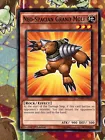 Neo-Spacian Grand Mole