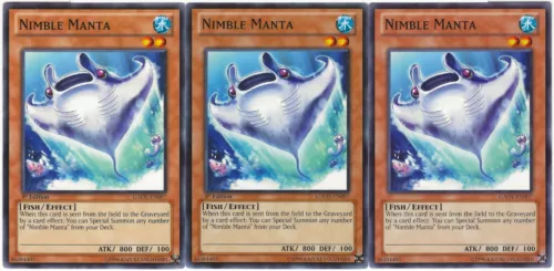 A Legendary Ocean