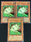 Nimble Momonga