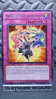 Ninjitsu Art of Duplication