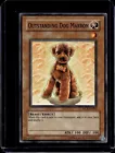 Outstanding Dog Marron