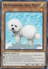 Outstanding Dog Mary