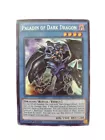 Paladin of Dark Dragon