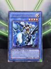 Paladin of White Dragon