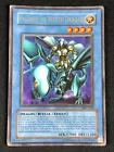 Paladin of White Dragon