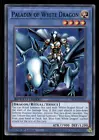Paladin of White Dragon