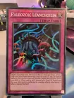 Paleozoic Leanchoilia