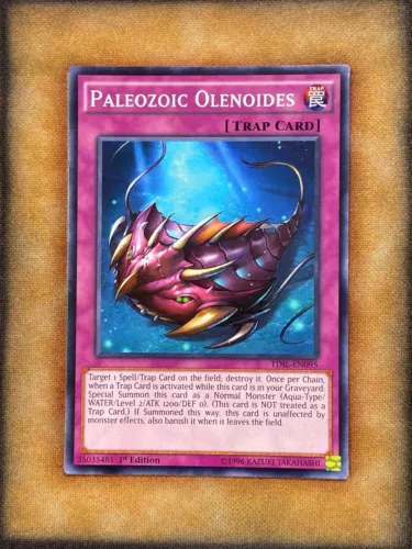Paleozoic Olenoides