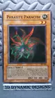 Parasite Paracide