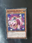 Performapal Hip Hippo
