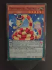 Performapal Partnaga