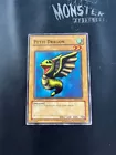 Petit Dragon
