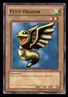 Petit Dragon