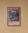 Phantom Dragon
