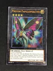 Photon Timestop
