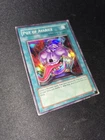 Pot of Avarice
